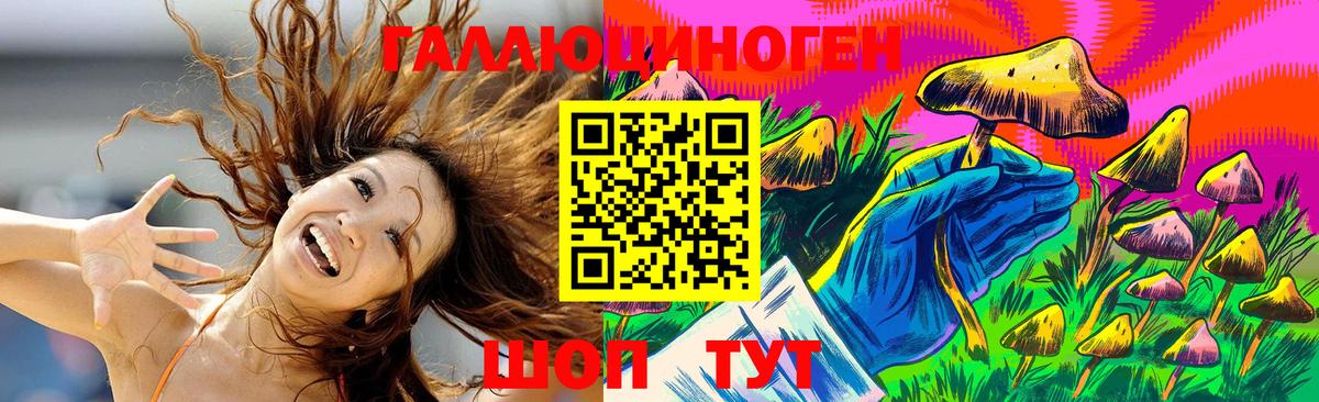 Псилоцибиновые грибы Psilocybine cubensis  Вход с VPN  Бор 
